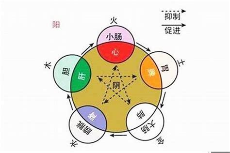 人的五行怎么看|如何分辨测试自己五行属性是什么